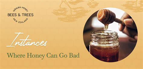 Does Manuka Honey Go Bad? Exploring the Eternal Sweetness and Beyond