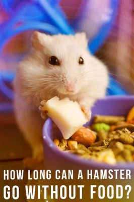 How Long Can a Hamster Go Without Food: A Journey Through Time and Tiny Tummies