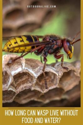 How Long Can a Wasp Live Without Food: Exploring the Limits of Survival and Beyond