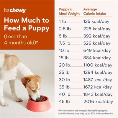 How Many Cups in 16 lbs of Dog Food: A Journey Through Measurement and Imagination