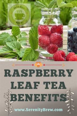 How Much Raspberry Leaf Tea to Drink at 37 Weeks: A Journey Through Time and Taste