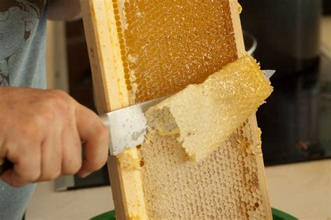 How to Extract Honey: A Sweet Symphony of Chaos and Order