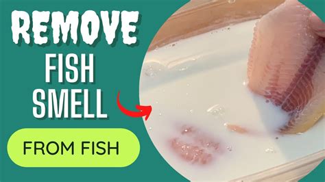 How to Get Rid of Fish Smell in Kitchen: Why Does It Always Linger Like a Bad Joke?