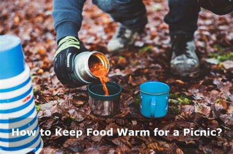 How to Keep Food Warm for a Picnic and Why Pineapples Don’t Belong on Pizza