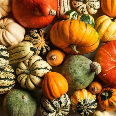 Is a Pumpkin a Fruit or Vegetable? And Why Does It Matter in the World of Quantum Physics?