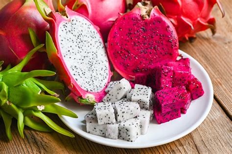 Is Dragon Fruit Safe for Cats? And Why Do Cats Dream of Electric Sheep?