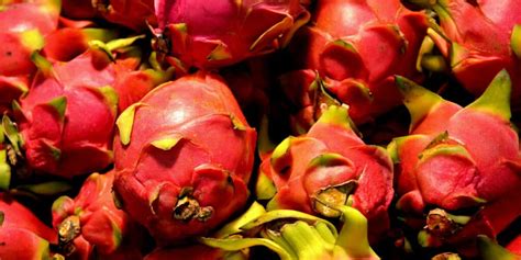 Is Dragon Fruit Skin Poisonous? Exploring the Myths and Realities of Exotic Fruit Consumption