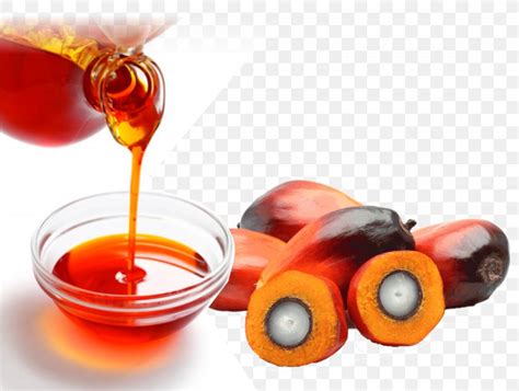 Is Palm Fruit Oil the Same as Palm Oil? And Why Do Pineapples Dream of Electric Sheep?