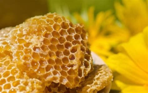 What Does Honeycomb Taste Like? And Why Does It Remind Me of Childhood Summers?