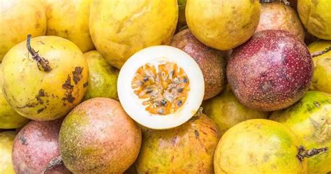 When is Passion Fruit Ripe: A Journey Through Time and Taste