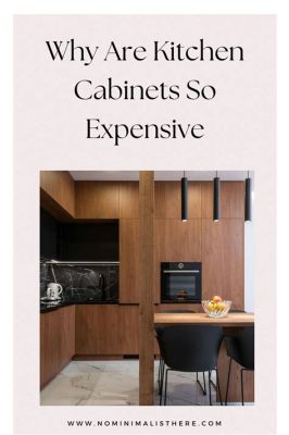 Why Are Kitchen Cabinets So Expensive? And Why Do They Always Smell Like Freshly Cut Wood?